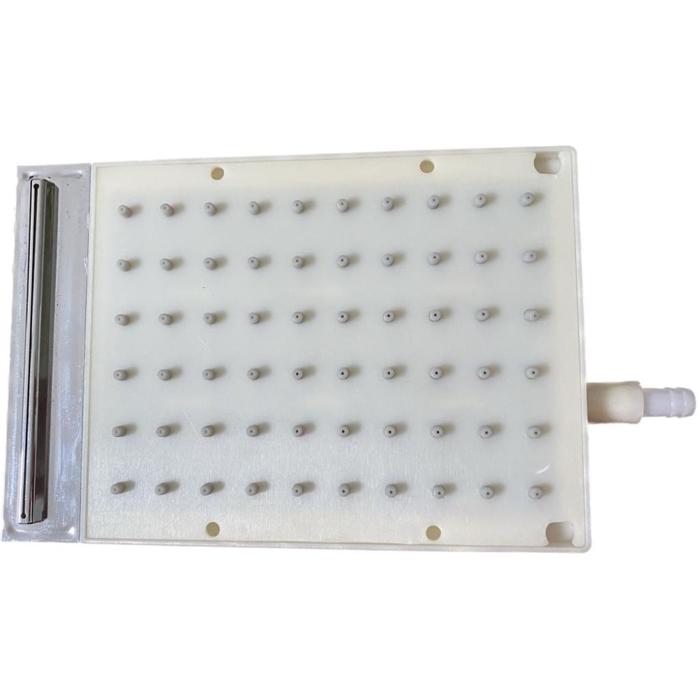 Replacement Showerhead for Brighton Shower